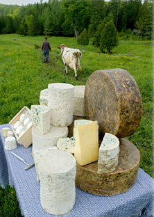 Northeast Farmstead and Raw Milk Cheese poster